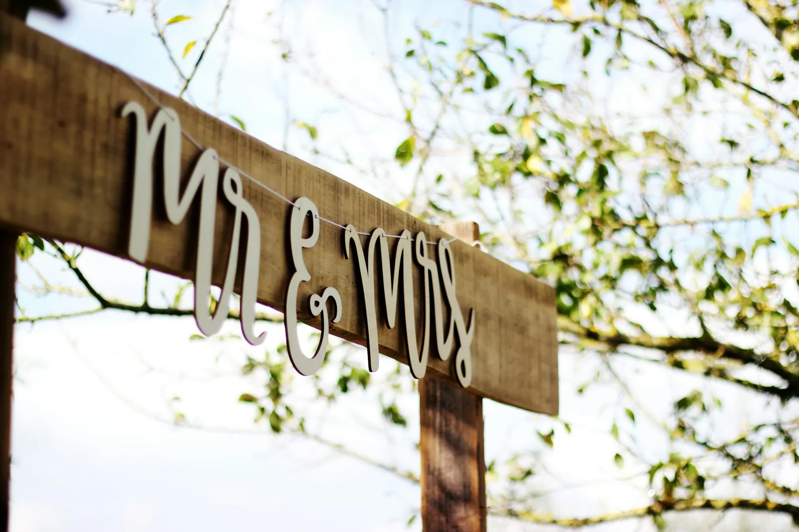 Wooden Mr & Mrs sign hanging in a tree